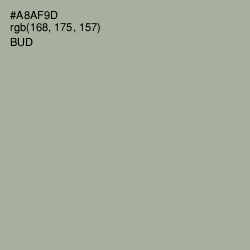#A8AF9D - Bud Color Image
