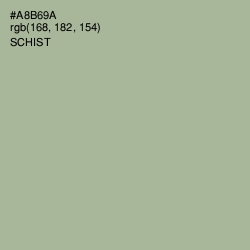 #A8B69A - Schist Color Image
