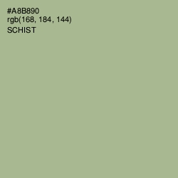 #A8B890 - Schist Color Image