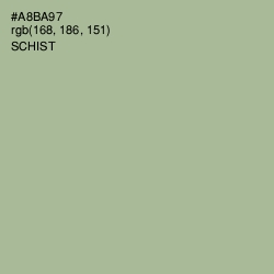 #A8BA97 - Schist Color Image