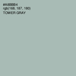 #A8BBB4 - Tower Gray Color Image