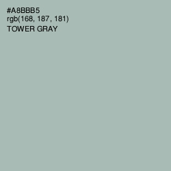 #A8BBB5 - Tower Gray Color Image