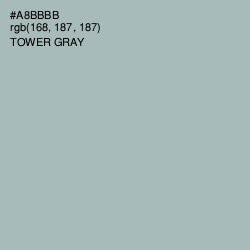 #A8BBBB - Tower Gray Color Image