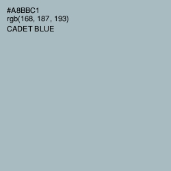 #A8BBC1 - Cadet Blue Color Image