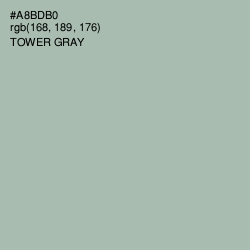 #A8BDB0 - Tower Gray Color Image