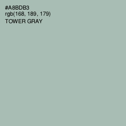 #A8BDB3 - Tower Gray Color Image