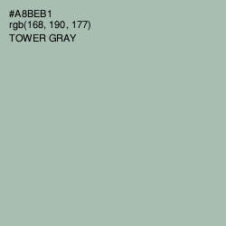#A8BEB1 - Tower Gray Color Image