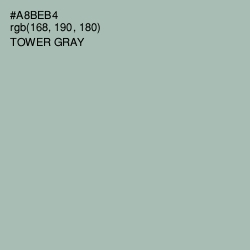 #A8BEB4 - Tower Gray Color Image