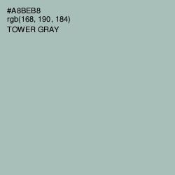 #A8BEB8 - Tower Gray Color Image