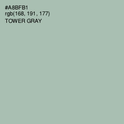 #A8BFB1 - Tower Gray Color Image