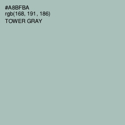 #A8BFBA - Tower Gray Color Image