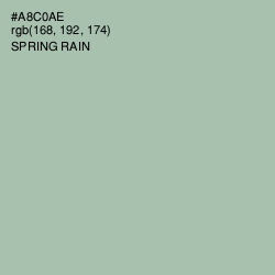 #A8C0AE - Spring Rain Color Image