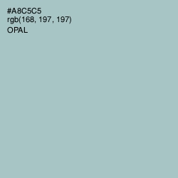 #A8C5C5 - Opal Color Image