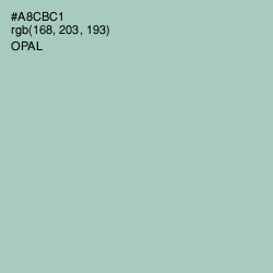 #A8CBC1 - Opal Color Image