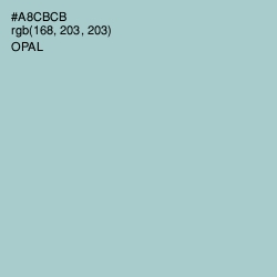 #A8CBCB - Opal Color Image
