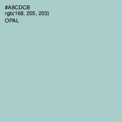 #A8CDCB - Opal Color Image