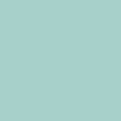 #A8D0CB - Opal Color Image