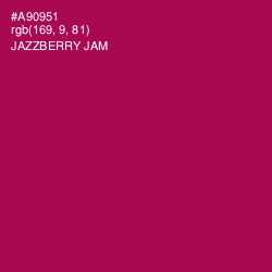 #A90951 - Jazzberry Jam Color Image