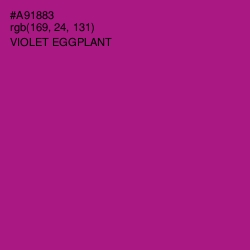 #A91883 - Violet Eggplant Color Image