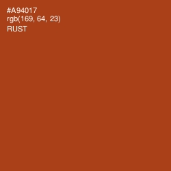 #A94017 - Rust Color Image