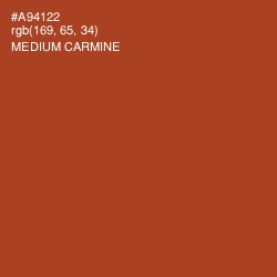 #A94122 - Medium Carmine Color Image