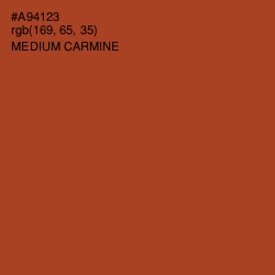 #A94123 - Medium Carmine Color Image