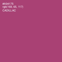#A94175 - Cadillac Color Image