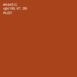 #A9431C - Rust Color Image