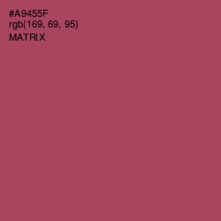 #A9455F - Matrix Color Image