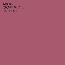 #A9596E - Cadillac Color Image