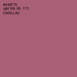 #A95F75 - Cadillac Color Image