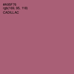 #A95F76 - Cadillac Color Image