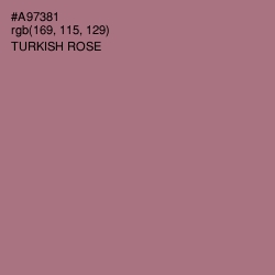 #A97381 - Turkish Rose Color Image