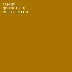 #A97501 - Buttered Rum Color Image