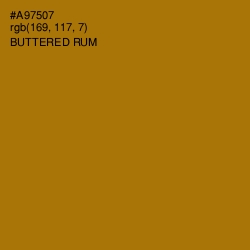 #A97507 - Buttered Rum Color Image