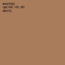 #A97D5C - Santa Fe Color Image