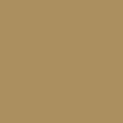 #A98F5B - Muesli Color Image