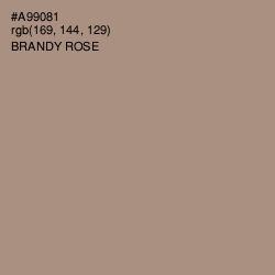 #A99081 - Brandy Rose Color Image