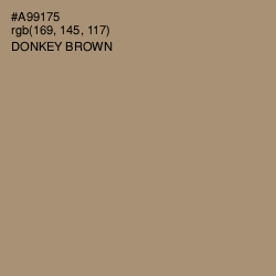 #A99175 - Donkey Brown Color Image
