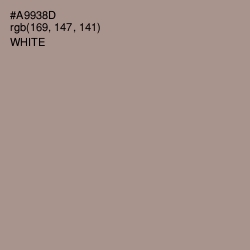 #A9938D - Zorba Color Image