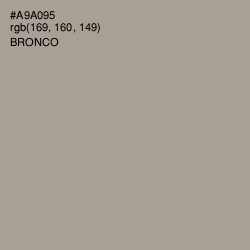 #A9A095 - Bronco Color Image
