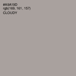 #A9A19D - Cloudy Color Image