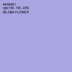 #A9A5E1 - Biloba Flower Color Image