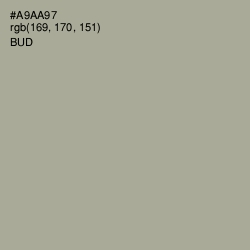 #A9AA97 - Bud Color Image