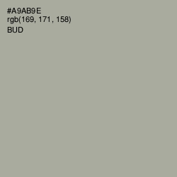 #A9AB9E - Bud Color Image