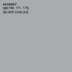 #A9ABAF - Silver Chalice Color Image