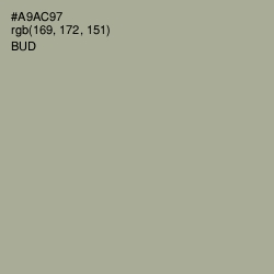 #A9AC97 - Bud Color Image