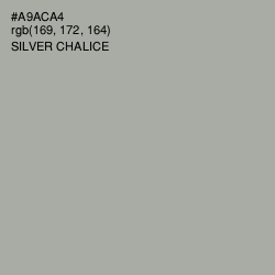 #A9ACA4 - Silver Chalice Color Image