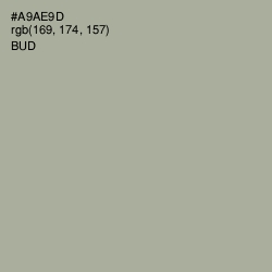 #A9AE9D - Bud Color Image