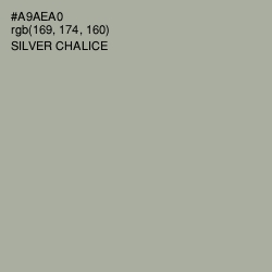 #A9AEA0 - Silver Chalice Color Image